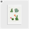 アートポストカード-Assorted Cacti
 - サボテン科 Postcard.