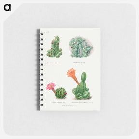 アートメモ帳-Assorted Cacti
 - サボテン科 Memo.
