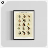 1-5_Favorite-Flies-and-Their-History_blk-crop