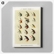 1-5_Favorite-Flies-and-Their-History_canvas