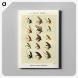1-5_Favorite-Flies-and-Their-History_canvas