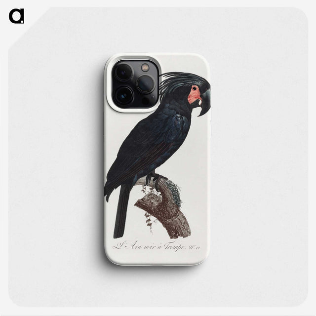 1-5_Francois-Levaillant_phone