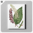 1-5_Fransis-Sansom_canvas