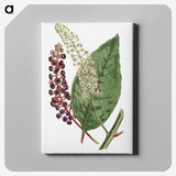 1-5_Fransis-Sansom_canvas