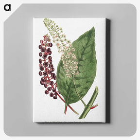 1-5_Fransis-Sansom_canvas