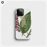 1-5_Fransis-Sansom_phone
