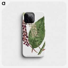 1-5_Fransis-Sansom_phone