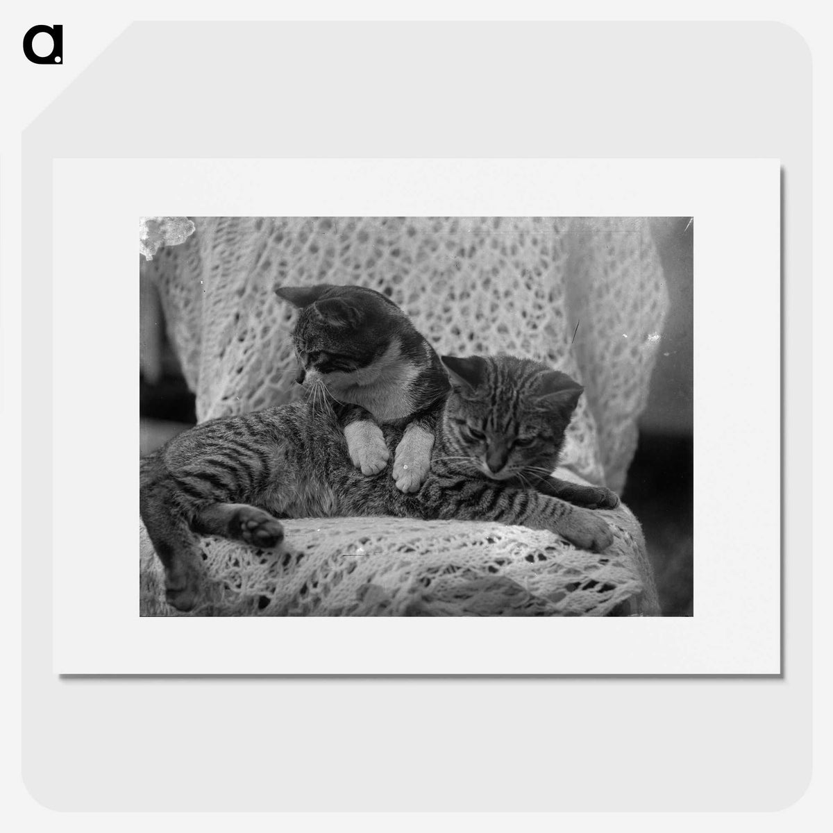 1-5_Frederick-Charles-Brockett_picture