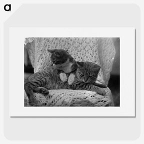 1-5_Frederick-Charles-Brockett_picture