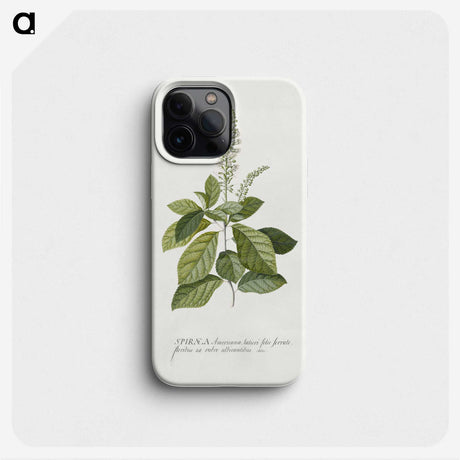 1-5_Georg-Dionysius-Ehret_phone