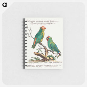 アートメモ帳-Parrot
 - ジョージ エドワーズ Memo.