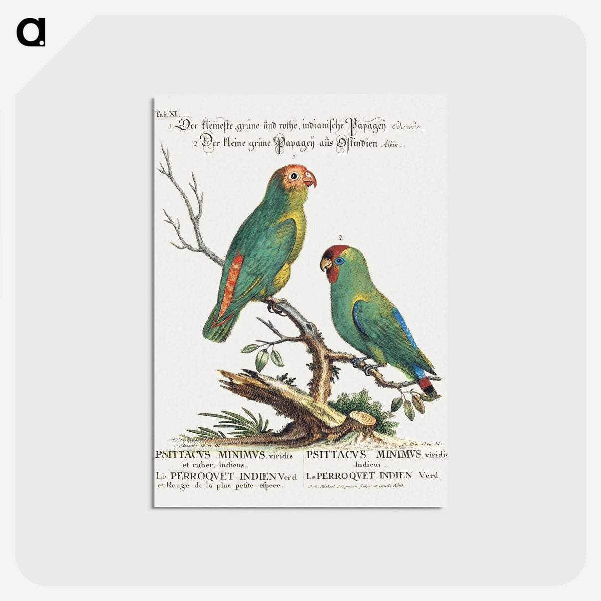 1-5_George-Edwards_postcard