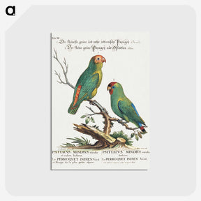 1-5_George-Edwards_postcard