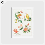 Floral Designs with Two Birds
 - ジャコモ カヴェネチア Postcard.