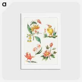 アートポストカード-Floral Designs with Two Birds
 - ジャコモ カヴェネチア Postcard.