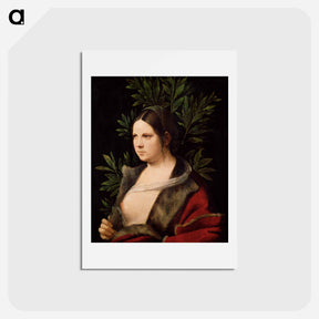 アートポストカード-Portrait of a Young Woman (Laura)
 - ジョルジョーネ Postcard.