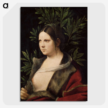 1-5_Giorgione_picture-crop