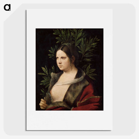 1-5_Giorgione_picture