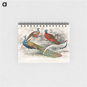 アートメモ帳-Exotic Pheasants and Peacock
 - ゴールドスミスの生き生きとした自然 Memo.