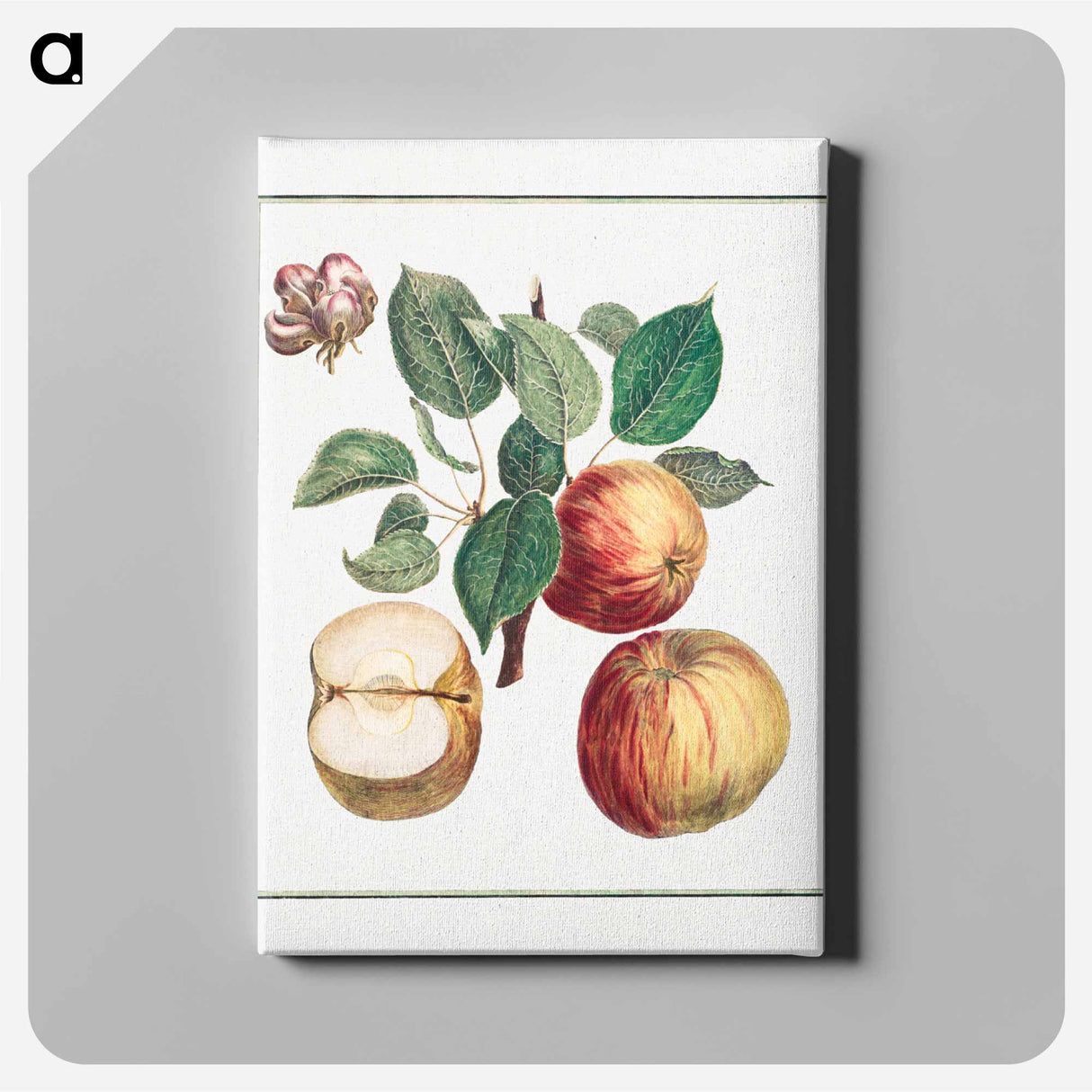 Apple with Leaf and Fruit Blossom - アンリ ルイ デュアメル デュ モンソー Canvas.