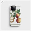 1-5_Henri-Louis-Duhamel-du-Monceau_phone