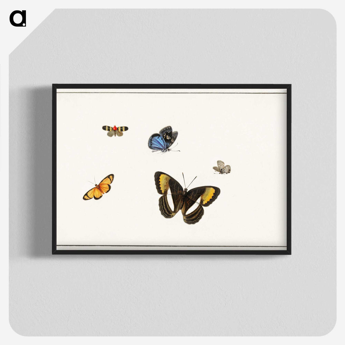 1-5_Herman-Henstenburgh_blk-crop