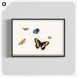 1-5_Herman-Henstenburgh_blk-crop