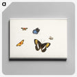 1-5_Herman-Henstenburgh_canvas