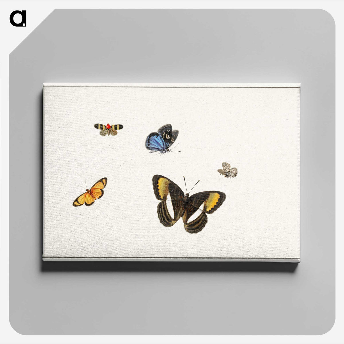 1-5_Herman-Henstenburgh_canvas