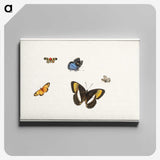 1-5_Herman-Henstenburgh_canvas