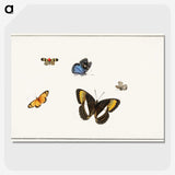 1-5_Herman-Henstenburgh_picture-crop
