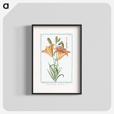 1-5_Hortus-Romanus-Botanical-Plates_blk