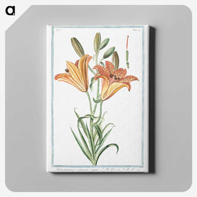 1-5_Hortus-Romanus-Botanical-Plates_canvas