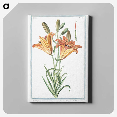 1-5_Hortus-Romanus-Botanical-Plates_canvas