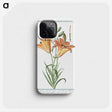 1-5_Hortus-Romanus-Botanical-Plates_phone
