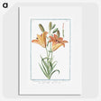 1-5_Hortus-Romanus-Botanical-Plates_picture