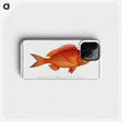 1-5_Ichtyologie-ou-Histoire-naturelle_phone