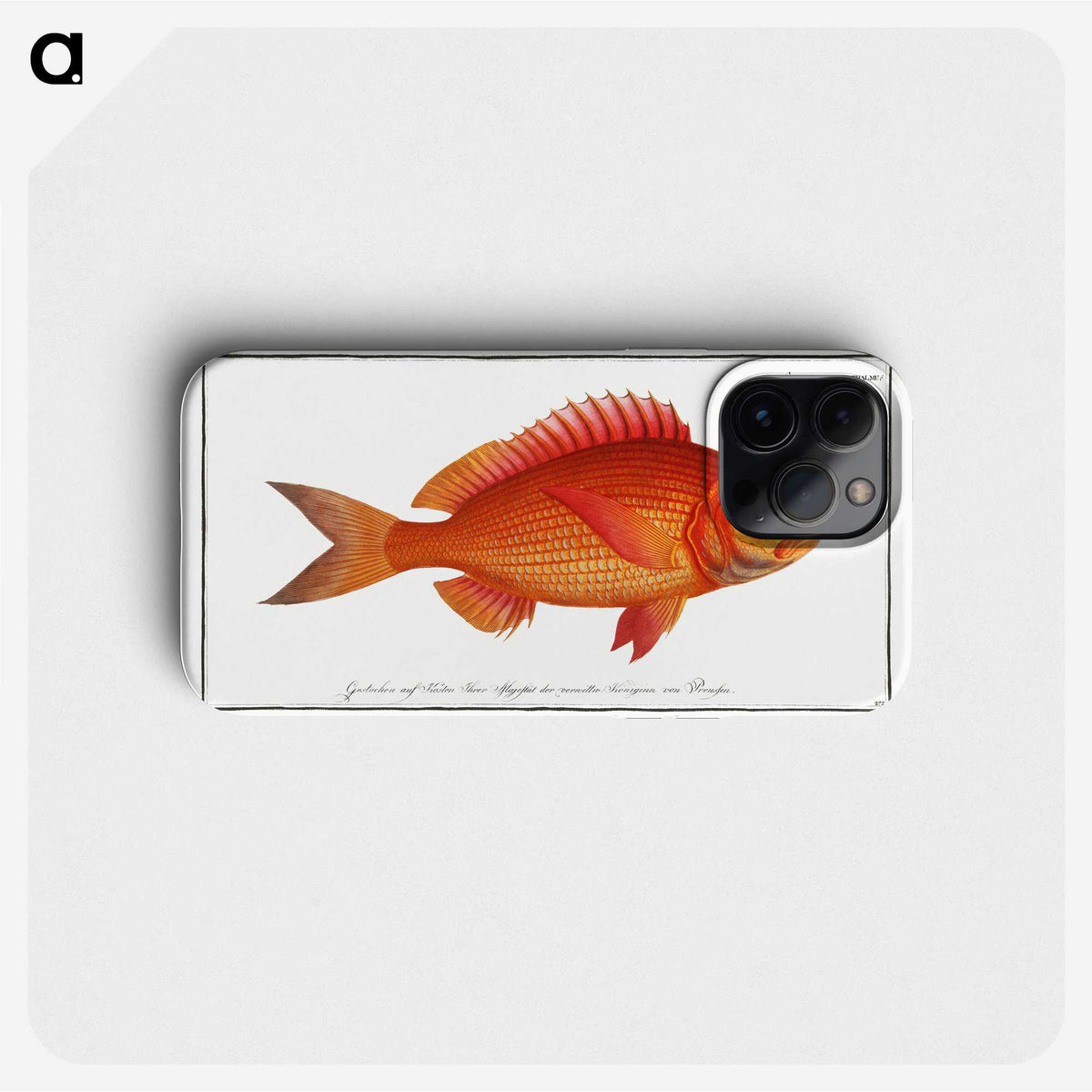 1-5_Ichtyologie-ou-Histoire-naturelle_phone