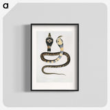 1-5_Indian-Zoology_blk