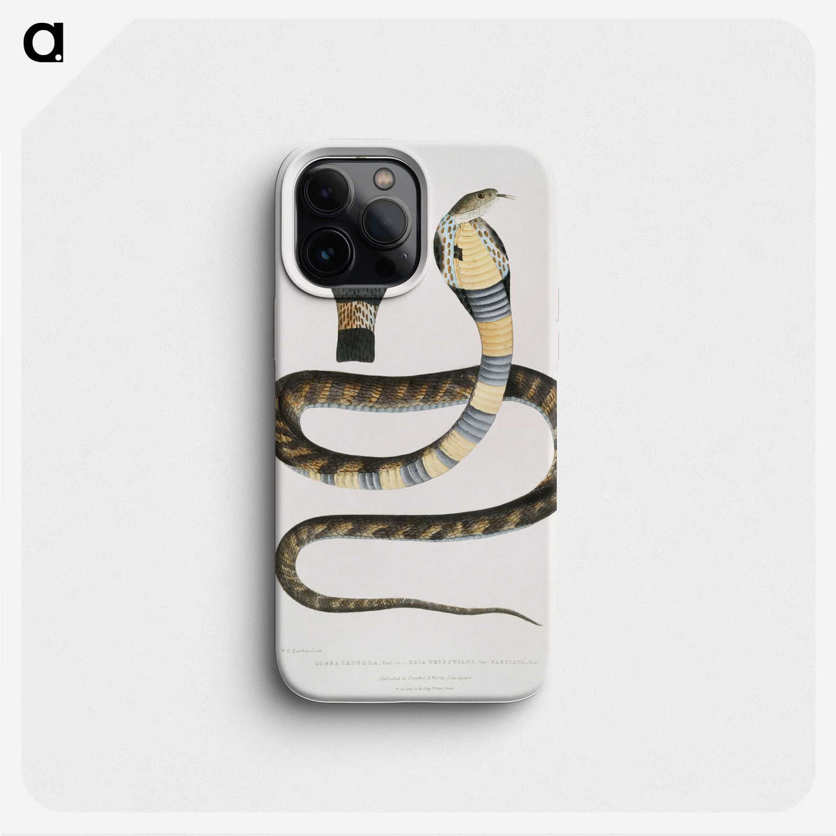 1-5_Indian-Zoology_phone