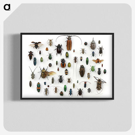 1-5_Insects-Unlocked-Project_blk-crop