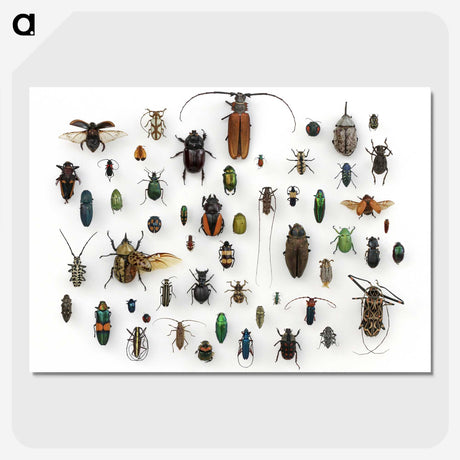 1-5_Insects-Unlocked-Project_picture-crop