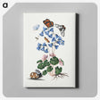 1-5_James-Bolton_canvas