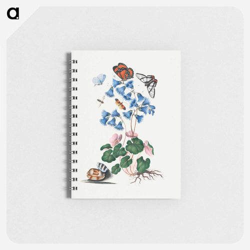 Anna Blackburne's Natural History Cabinet
 - ジェームズ ボルトン Memo.