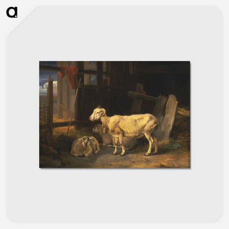 アートポストカード-Heath Ewe and Lambs
 - ジェームス ヒース Postcard.
