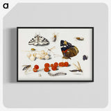 1-5_Jan-Van-Kessel_blk-crop