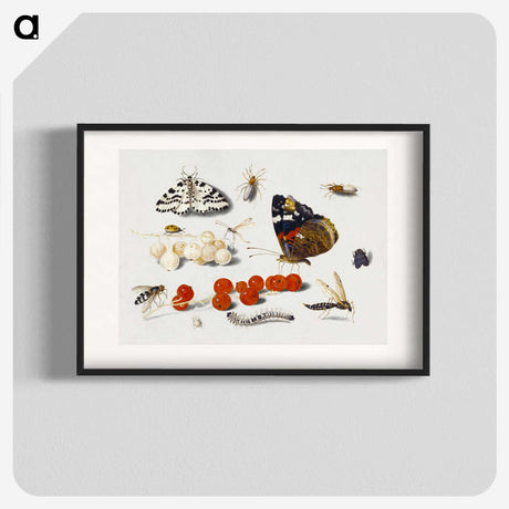 1-5_Jan-Van-Kessel_blk