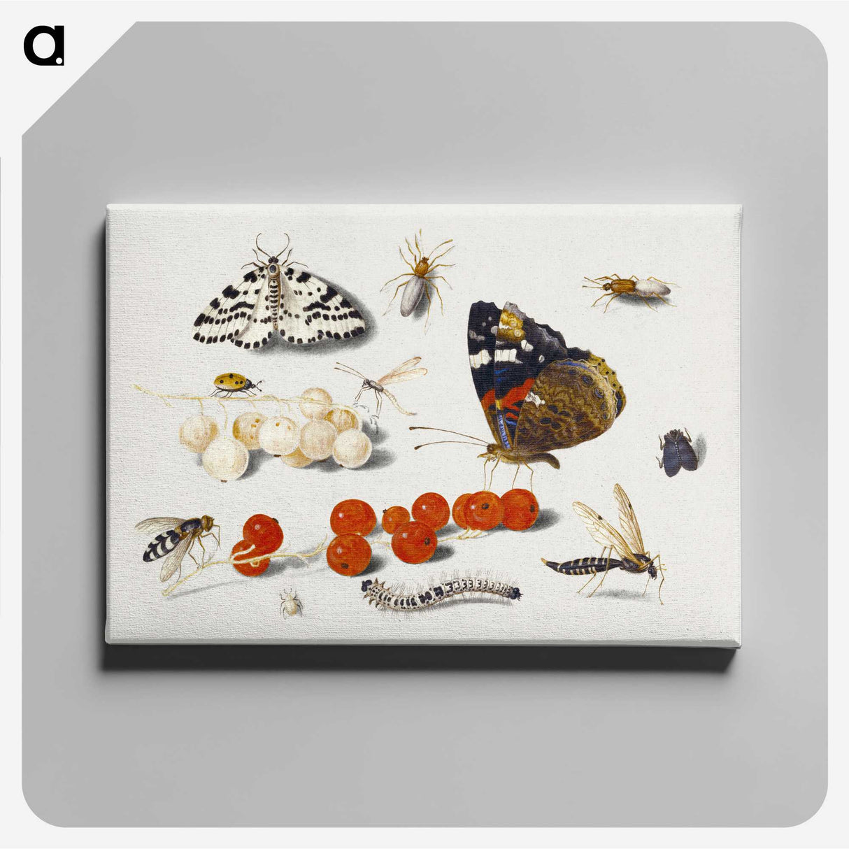 1-5_Jan-Van-Kessel_canvas