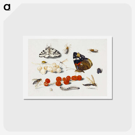 1-5_Jan-Van-Kessel_hagaki