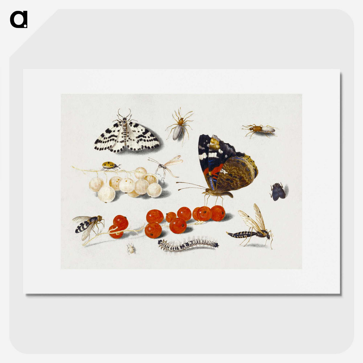 1-5_Jan-Van-Kessel_picture